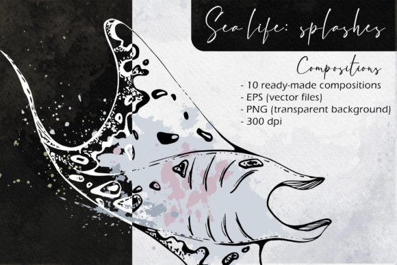 Sea Life Splashes Compositions: A Creative Resource for Marine-Inspired Designs
